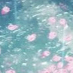 Meet your Posher, Laiken